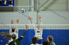 VB vs Plymouth St  Wheaton Women’s Volleyball vs Plymouth St. - Photo by Keith Nordstrom